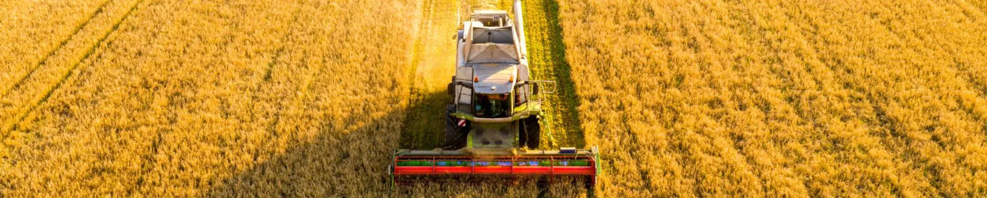Droit agricole viticole vins spiritueux Angoulême Cognac Charente.